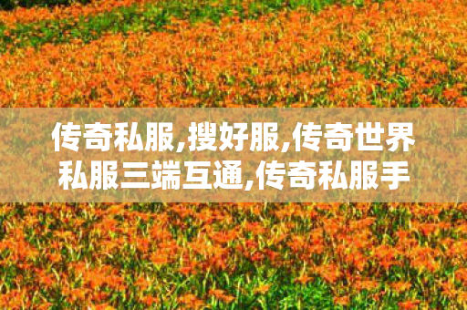 传奇私服,搜好服,传奇世界私服三端互通,传奇私服手游外挂,传奇世界私服三端互通
