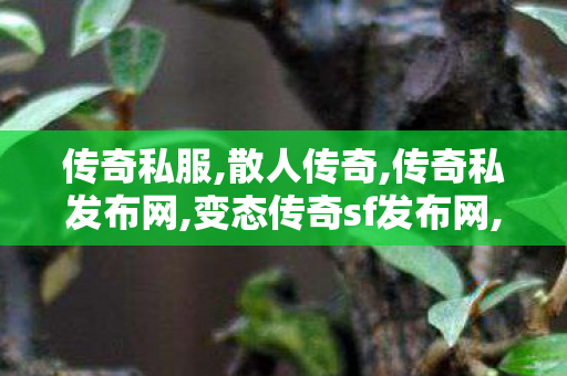 传奇私服,散人传奇,传奇私发布网,变态传奇sf发布网,传奇私发布网