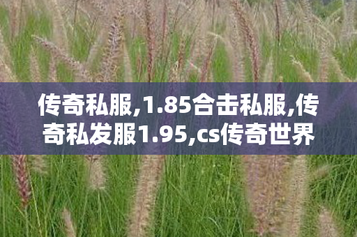 传奇私服,1.85合击私服,传奇私发服1.95,cs传奇世界私服,传奇私发服1.95