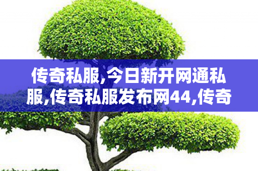 传奇私服,今日新开网通私服,传奇私服发布网44,传奇世界私服,传世sf网站,传奇私服发布网44