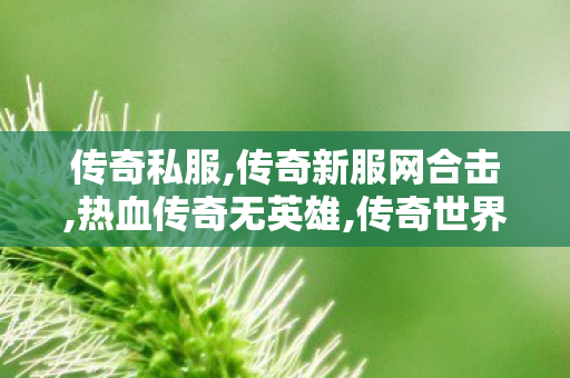 传奇私服,传奇新服网合击,热血传奇无英雄,传奇世界端游私服,热血传奇无英雄