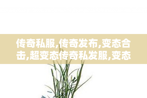 传奇私服,传奇发布,变态合击,超变态传奇私发服,变态合击