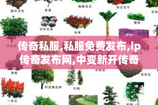 传奇私服,私服免费发布,ip传奇发布网,中变新开传奇网站刚开一秒,ip传奇发布网