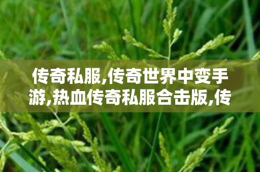 传奇私服,传奇世界中变手游,热血传奇私服合击版,传世私服发布网站大全,热血传奇私服合击版