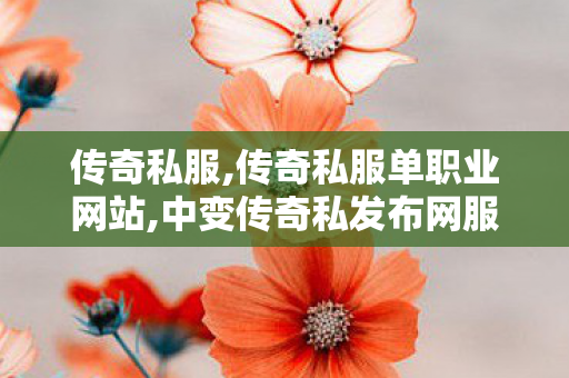 传奇私服,传奇私服单职业网站,中变传奇私发布网服,最新传奇世界私服,中变传奇私发布网服