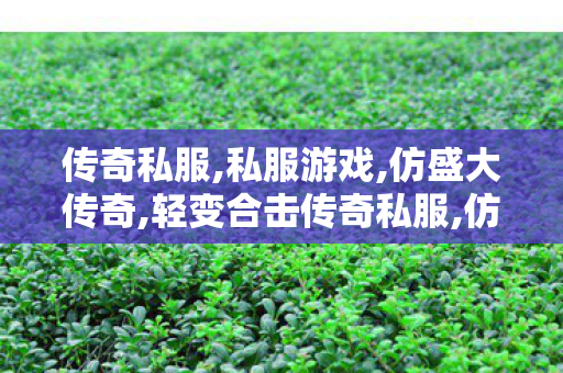 传奇私服,私服游戏,仿盛大传奇,轻变合击传奇私服,仿盛大传奇