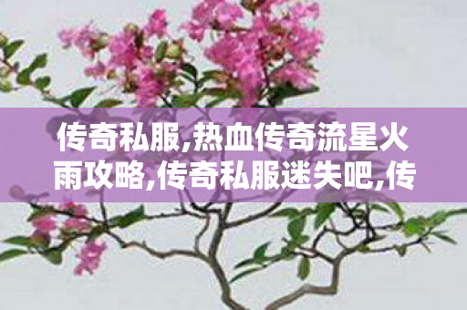 传奇私服,热血传奇流星火雨攻略,传奇私服迷失吧,传世私服,传奇私服迷失吧