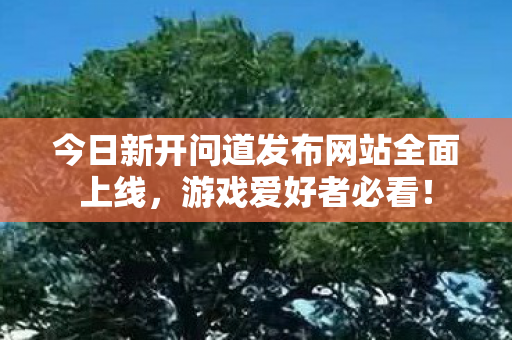 今日新开问道发布网站全面上线，游戏爱好者必看！