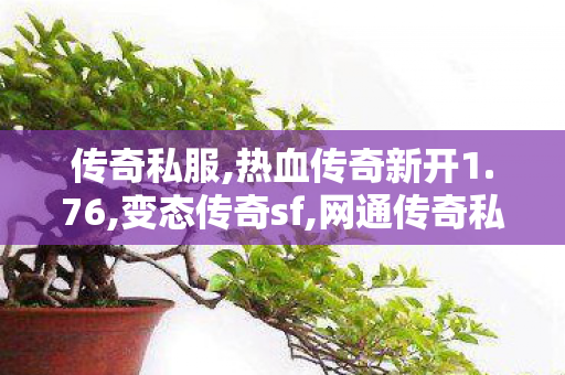 传奇私服,热血传奇新开1.76,变态传奇sf,网通传奇私服网站,变态传奇sf