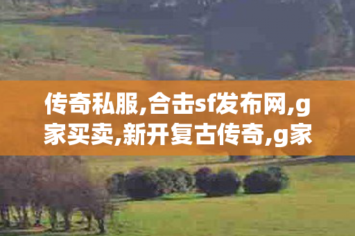传奇私服,合击sf发布网,g家买卖,新开复古传奇,g家买卖