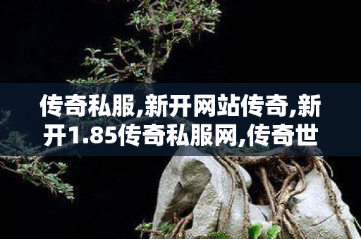 传奇私服,新开网站传奇,新开1.85传奇私服网,传奇世界网站手机版,新开1.85传奇私服网