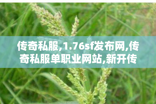 传奇私服,1.76sf发布网,传奇私服单职业网站,新开传世sf发布,传奇私服单职业网站