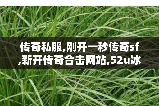 传奇私服,刚开一秒传奇sf,新开传奇合击网站,52u冰雪传奇手游版本,新开传奇合击网站
