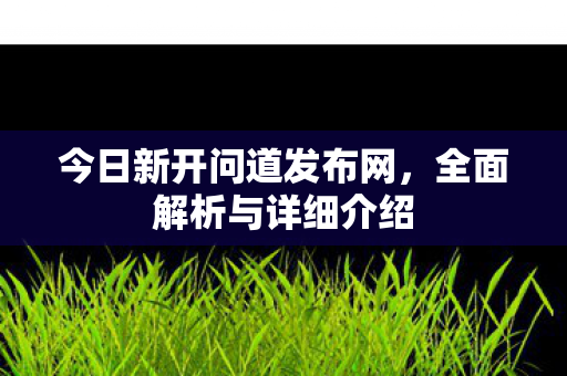 今日新开问道发布网，全面解析与详细介绍