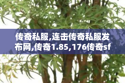 传奇私服,连击传奇私服发布网,传奇1.85,176传奇sf,传奇1.85