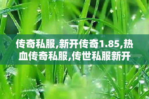 传奇私服,新开传奇1.85,热血传奇私服,传世私服新开找传世网,热血传奇私服