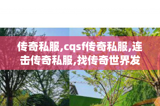 传奇私服,cqsf传奇私服,连击传奇私服,找传奇世界发布网,连击传奇私服