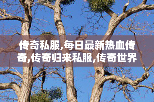 传奇私服,每日最新热血传奇,传奇归来私服,传奇世界私服变态版,传奇归来私服