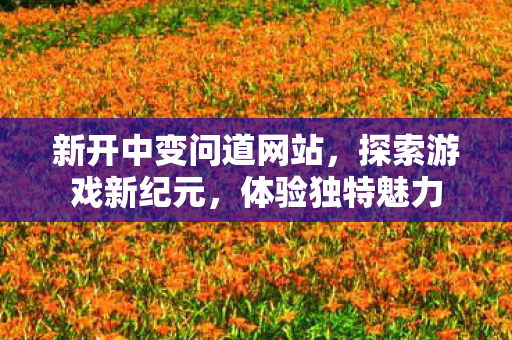 新开中变问道网站，探索游戏新纪元，体验独特魅力
