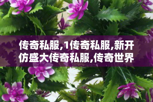 传奇私服,1传奇私服,新开仿盛大传奇私服,传奇世界私服登陆器,新开仿盛大传奇私服