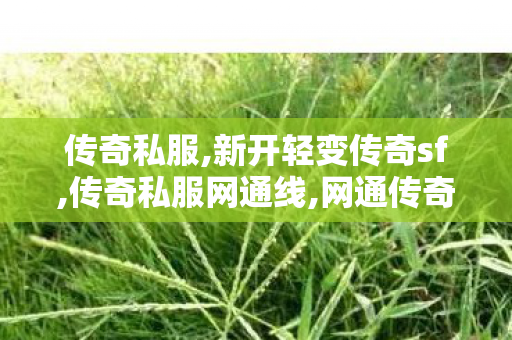 传奇私服,新开轻变传奇sf,传奇私服网通线,网通传奇发布,传奇私服网通线