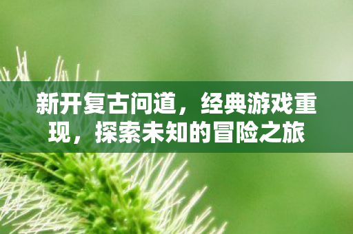 新开复古问道，经典游戏重现，探索未知的冒险之旅