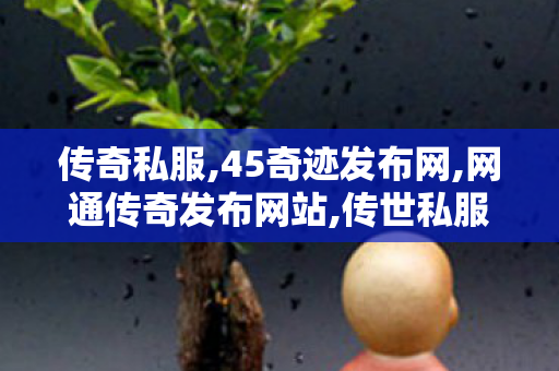 传奇私服,45奇迹发布网,网通传奇发布网站,传世私服妖士职业,网通传奇发布网站