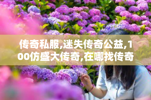 传奇私服,迷失传奇公益,100仿盛大传奇,在哪找传奇私服,100仿盛大传奇
