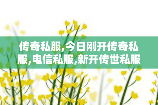 传奇私服,今日刚开传奇私服,电信私服,新开传世私服开服表,电信私服