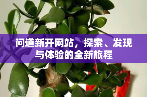 问道新开网站，探索、发现与体验的全新旅程