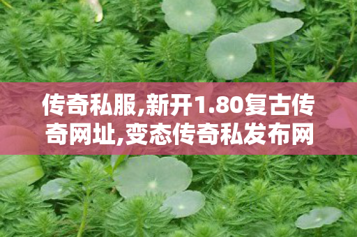 传奇私服,新开1.80复古传奇网址,变态传奇私发布网服,传世发布网,变态传奇私发布网服