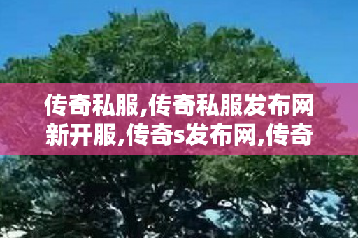 传奇私服,传奇私服发布网新开服,传奇s发布网,传奇师傅,传奇s发布网