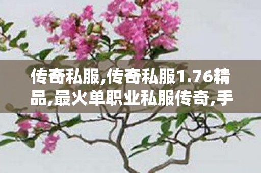 传奇私服,传奇私服1.76精品,最火单职业私服传奇,手机传世sf,最火单职业私服传奇