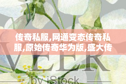 传奇私服,网通变态传奇私服,原始传奇华为版,盛大传奇私服,原始传奇华为版