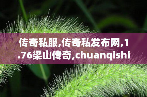 传奇私服,传奇私发布网,1.76梁山传奇,chuanqishijiesifu,1.76梁山传奇