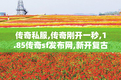 传奇私服,传奇刚开一秒,1.85传奇sf发布网,新开复古传奇世界私服,1.85传奇sf发布网
