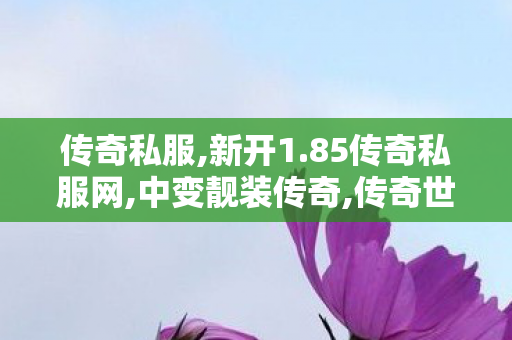 传奇私服,新开1.85传奇私服网,中变靓装传奇,传奇世界私服网站,中变靓装传奇