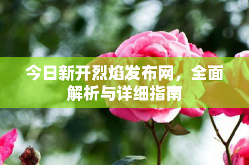 今日新开烈焰发布网，全面解析与详细指南