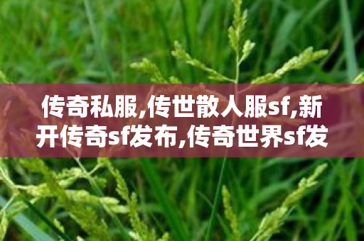 传奇私服,传世散人服sf,新开传奇sf发布,传奇世界sf发布网站,新开传奇sf发布