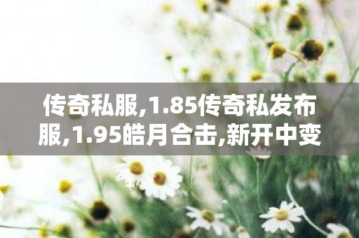 传奇私服,1.85传奇私发布服,1.95皓月合击,新开中变传世私服,1.95皓月合击