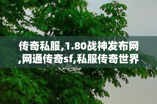 传奇私服,1.80战神发布网,网通传奇sf,私服传奇世界,网通传奇sf