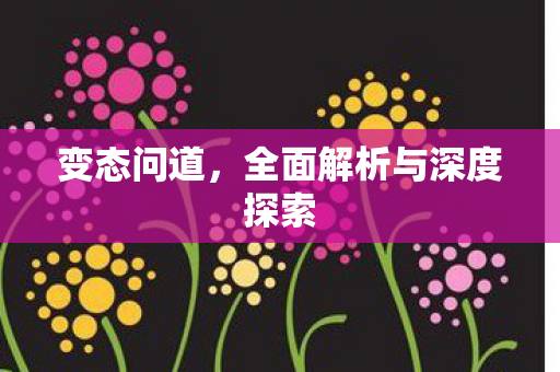 变态问道，全面解析与深度探索