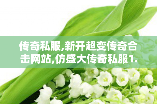 传奇私服,新开超变传奇合击网站,仿盛大传奇私服1.95,今日新开合击私服,仿盛大传奇私服1.95