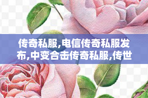 传奇私服,电信传奇私服发布,中变合击传奇私服,传世私新开服网站,中变合击传奇私服