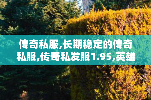 传奇私服,长期稳定的传奇私服,传奇私发服1.95,英雄合击传奇发布网,传奇私发服1.95