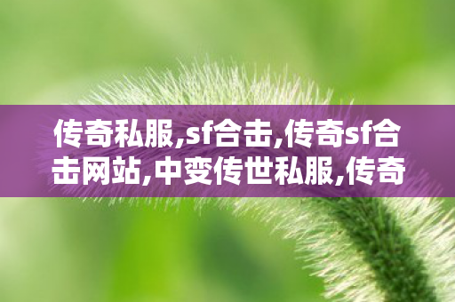 传奇私服,sf合击,传奇sf合击网站,中变传世私服,传奇sf合击网站
