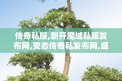传奇私服,新开魔域私服发布网,变态传奇私发布网,盛大传奇世界私服发布网,变态传奇私发布网