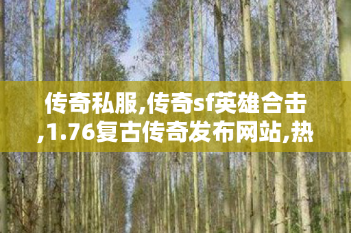 传奇私服,传奇sf英雄合击,1.76复古传奇发布网站,热血传奇合击sf,1.76复古传奇发布网站