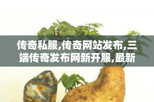 传奇私服,传奇网站发布,三端传奇发布网新开服,最新传奇私服发布网站,三端传奇发布网新开服