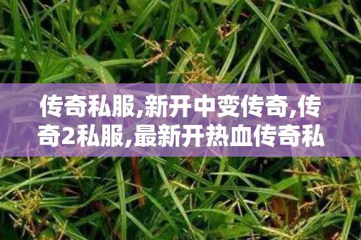 传奇私服,新开中变传奇,传奇2私服,最新开热血传奇私服,传奇2私服